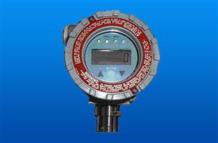 美国华瑞RAEGuard EC一氧化碳检测仪
